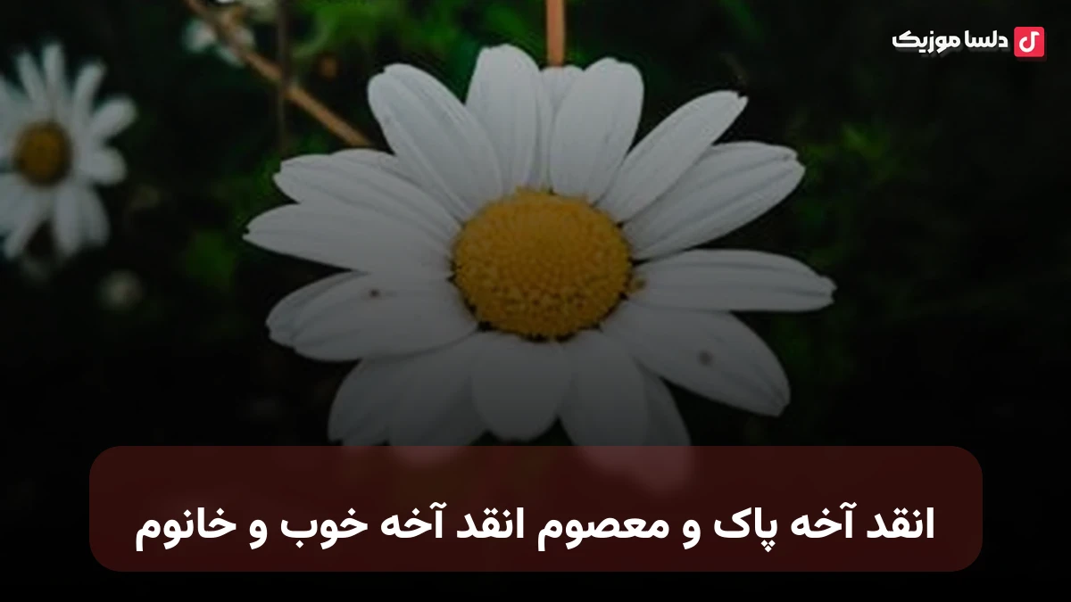 انقد آخه پاک و معصوم انقد آخه خوب و خانوم هوش مصنوعی